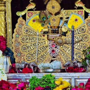 Sanwariya Seth Tour Package